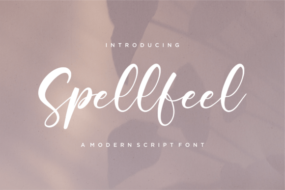 Spellfeel — A Modern Script Font That Speaks for Itself